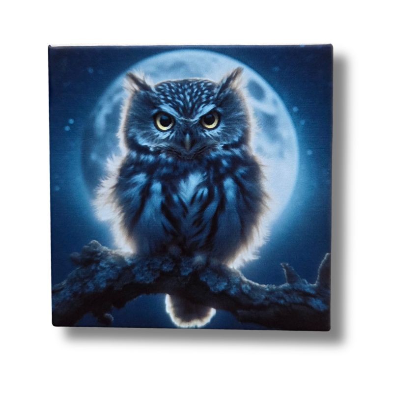 Magnet chouette lune