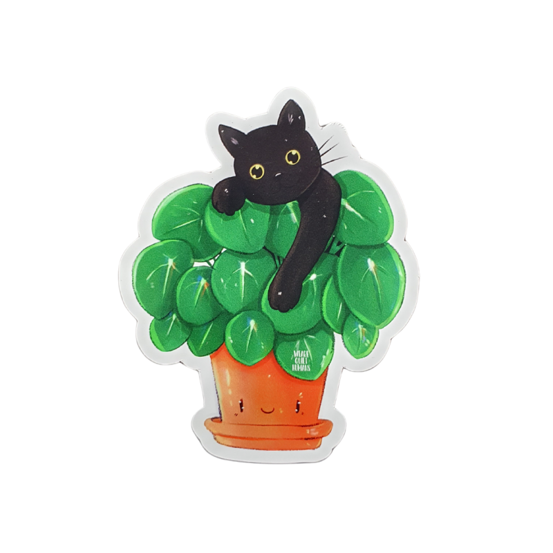 Magnet chat Pilea