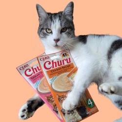 Lot de 2 Friandises liquides au poulet et au poisson