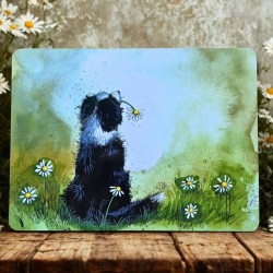 Set de table Border Collie