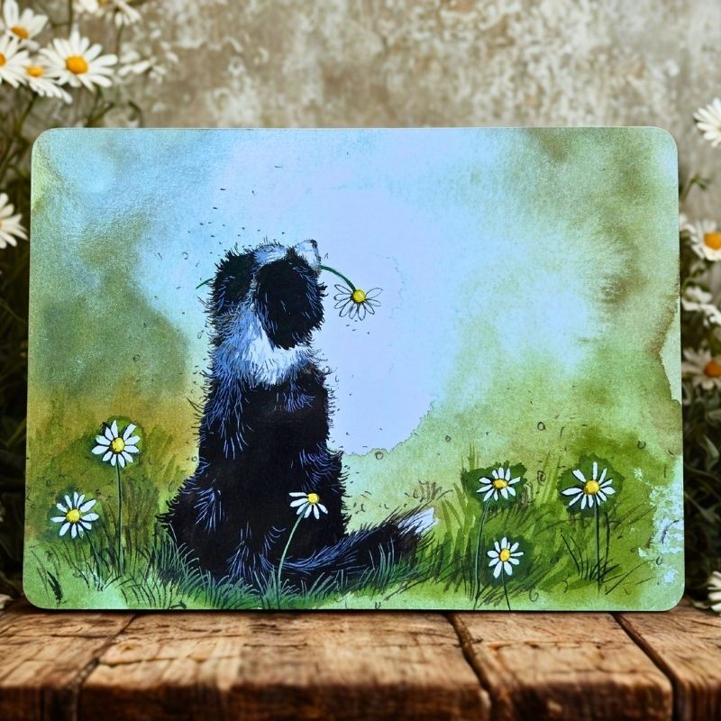 Set de table Border Collie imperméable - Décoration design