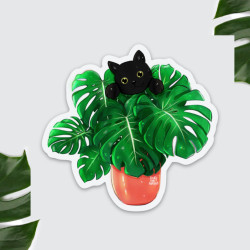 Magnet chat Monstera