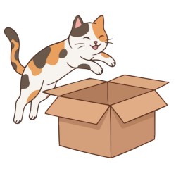 Colis solidaire association