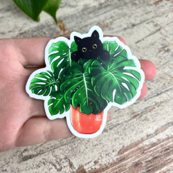 Magnet chat Monstera