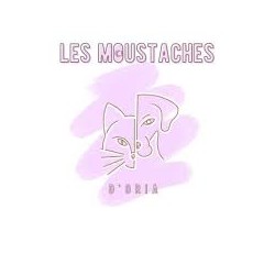 Les moustaches d'Oria