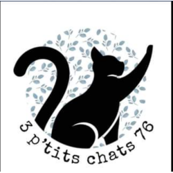 3 p'tits chats 76