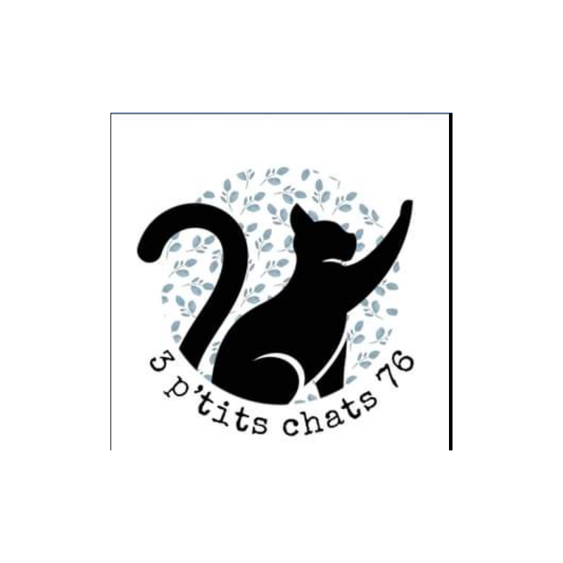 3 p'tits chats 76