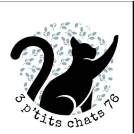 3 p'tits chats 76