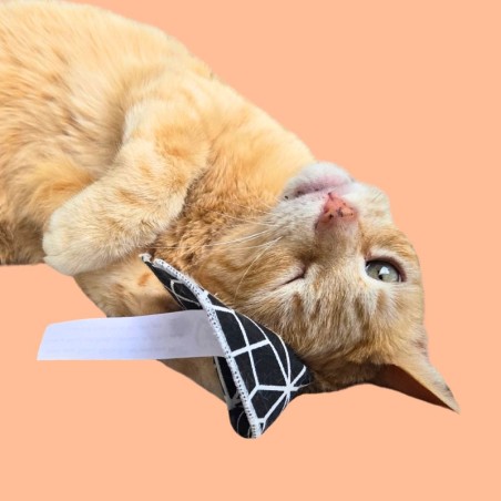 Biscuit porte-bonheur avec message pour chat - Cookie fortune pour chat