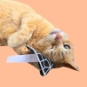 Biscuit porte-bonheur avec message pour chat - Cookie fortune pour chat