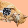 Biscuit porte-bonheur avec message pour chat - Cookie fortune pour chat