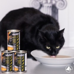 Soupe pour chat - poulet