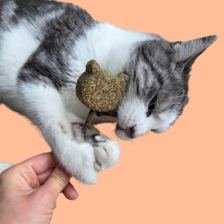Sucette pour chat