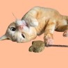 Sucette pour chat