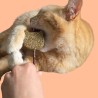 Sucette pour chat