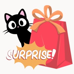 Pochette surprise