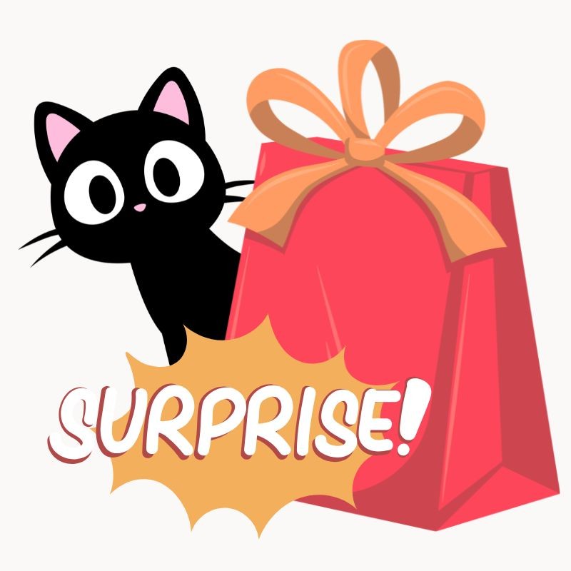 Pochette surprise