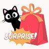 Pochette surprise