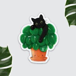 Magnet chat Pilea