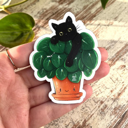 Magnet chat Pilea