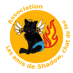 Les amis de Shadow