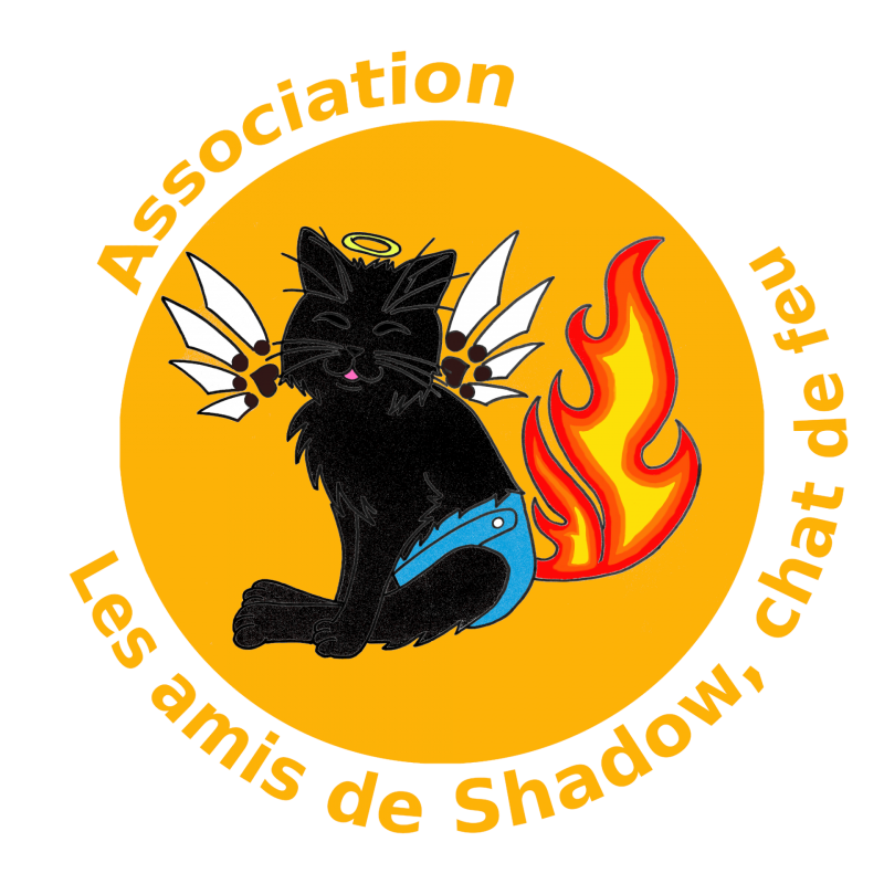 Les amis de Shadow