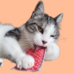 Coussin à la Valériane