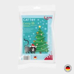 Bonhommes en Pain d'Épices à la Cataire