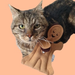 Bonhommes en Pain d'Épices à la Cataire