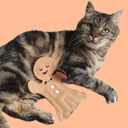 Bonhommes en Pain d'Épices à la Cataire