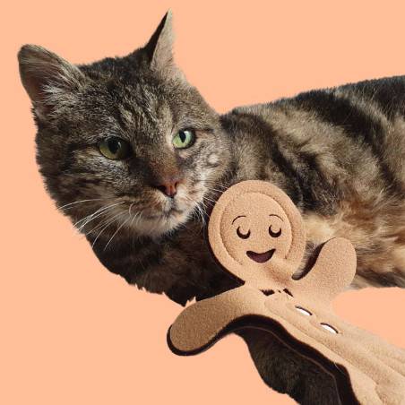 Bonhommes en Pain d'Épices à la Cataire