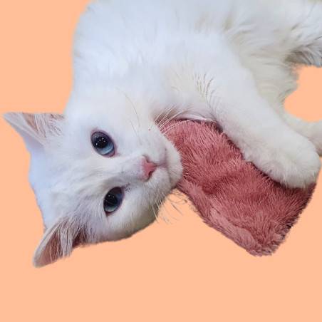 Jouets et accessoires pour chat - Yumici