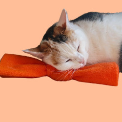 Noeud à la Valériane