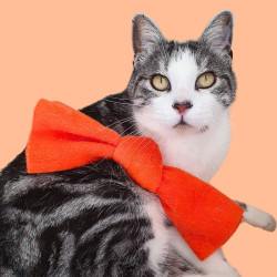 Noeud à la Valériane