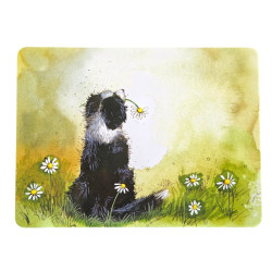 Set de table Border Collie