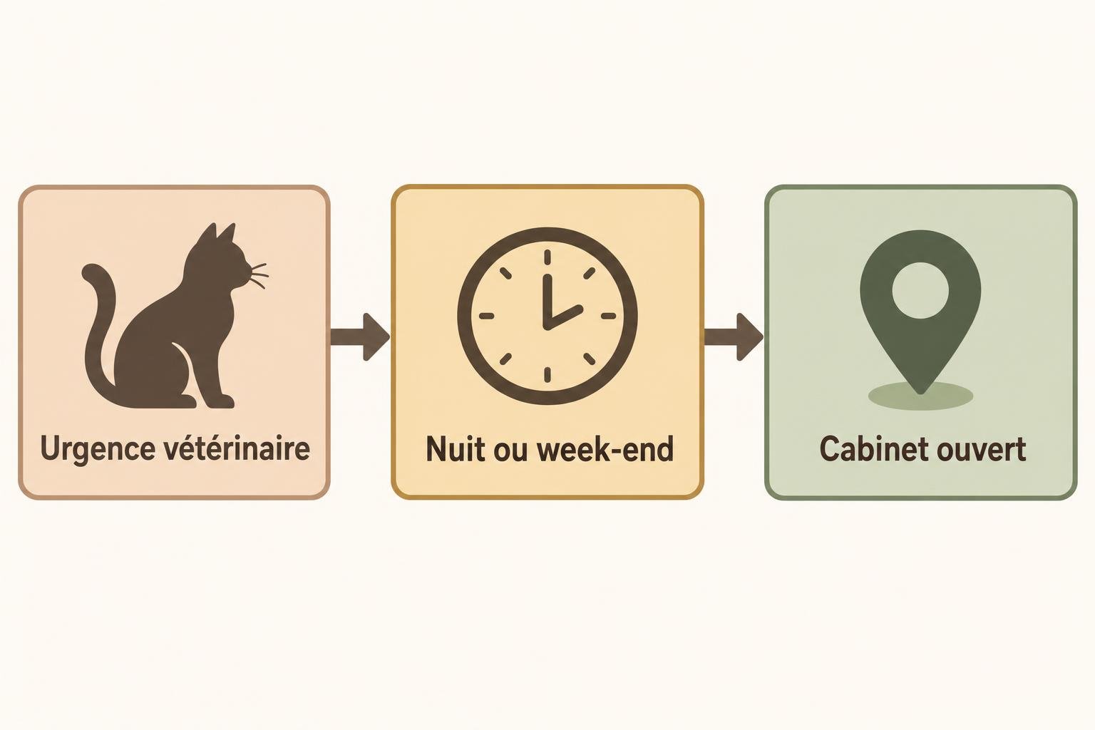 Chat malade sur le chemin vers le cabinet vétérinaire, après une urgence, déplacement nocturne ou pendant le week-end, jusqu’au