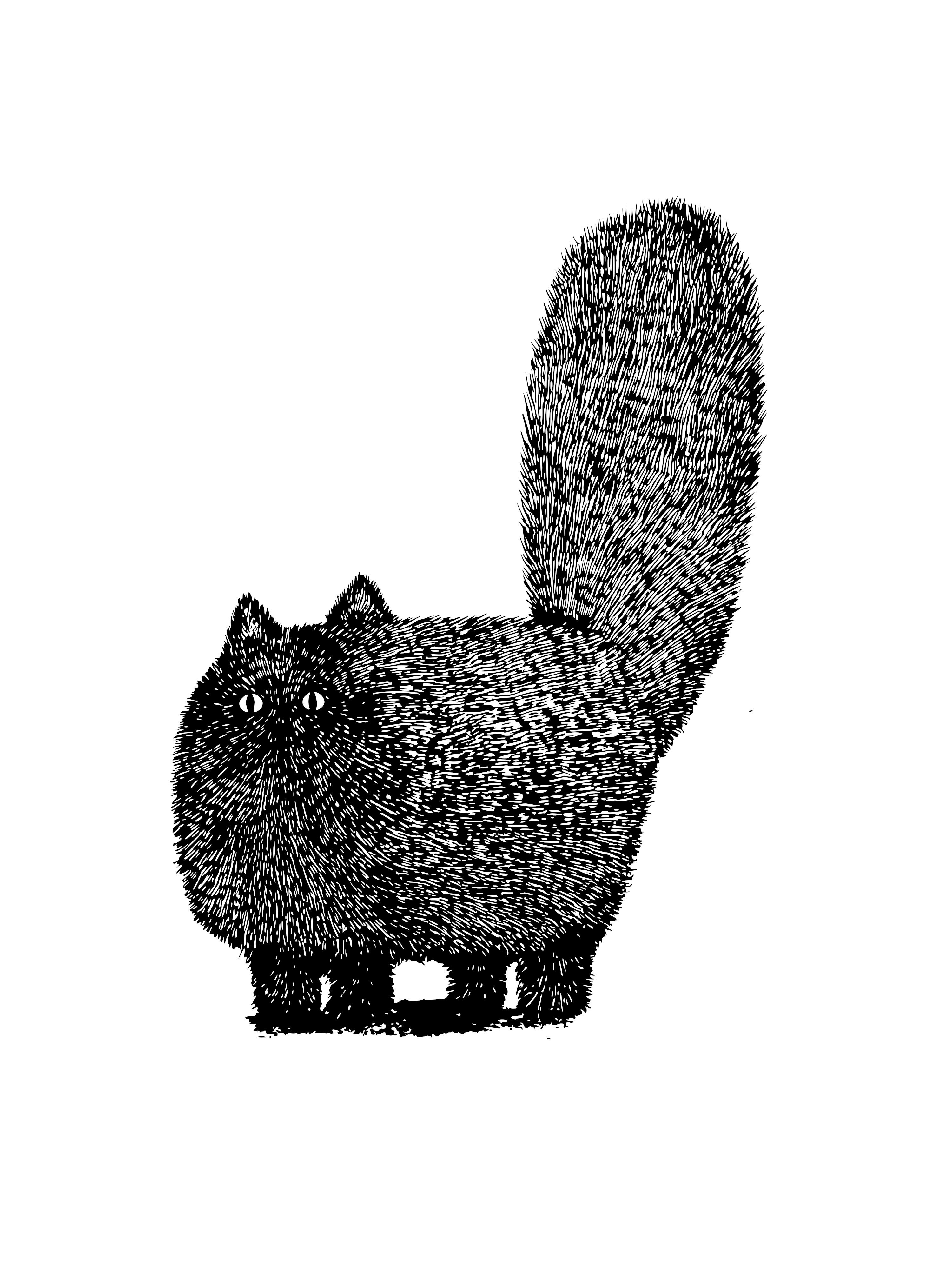 Chats montrant une queue relevée et dressée, debout et regardant vers l’avant.