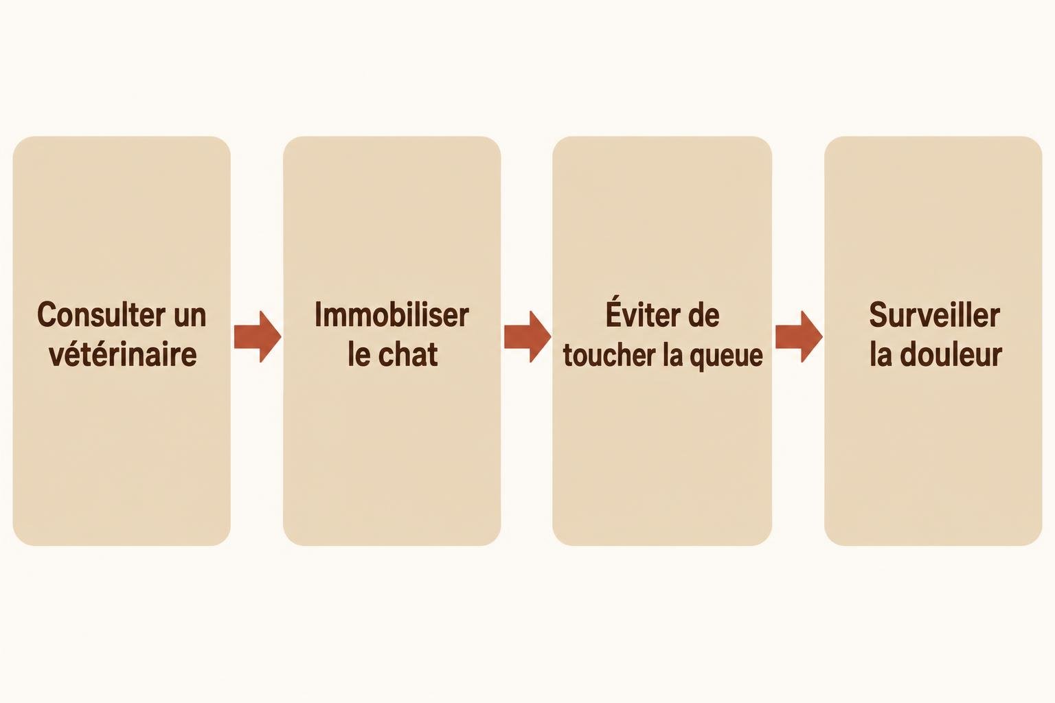 Suite de quatre cases montrant le processus: consulter un vétérinaire, immobiliser le chat, éviter de toucher la queue,
