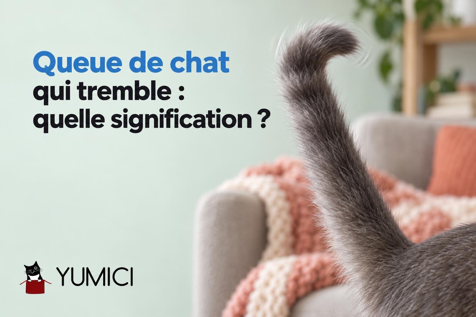 Queue de chat qui tremble : quelle signification ?
